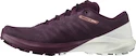 Damskie buty do biegania Salomon Sense 4  PRO W Plum Caspia