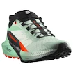 Damskie buty do biegania Salomon Sense Ride 5 Bay/Black/Cherry Tomato