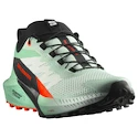 Damskie buty do biegania Salomon Sense Ride 5 Bay/Black/Cherry Tomato