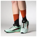 Damskie buty do biegania Salomon Sense Ride 5 Bay/Black/Cherry Tomato