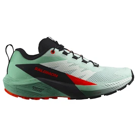 Damskie buty do biegania Salomon Sense Ride 5 Bay/Black/Cherry Tomato
