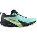 Damskie buty do biegania Salomon Sense Ride 5 Gtx Blue Radiance / Green Ash / India Ink  UK 5,5