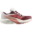 Damskie buty do biegania Salomon Sense Ride 5 GTX W Syrah/Vanila/Pea