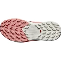 Damskie buty do biegania Salomon Sense Ride 5 GTX W Syrah/Vanila/Pea