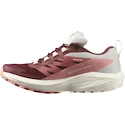 Damskie buty do biegania Salomon Sense Ride 5 GTX W Syrah/Vanila/Pea