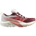 Damskie buty do biegania Salomon Sense Ride 5 GTX W Syrah/Vanila/Pea