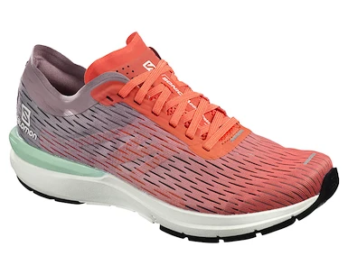 Damskie buty do biegania Salomon  Sonic 3 Accelerate