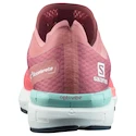 Damskie buty do biegania Salomon  Sonic 4 Accelerate Persimon