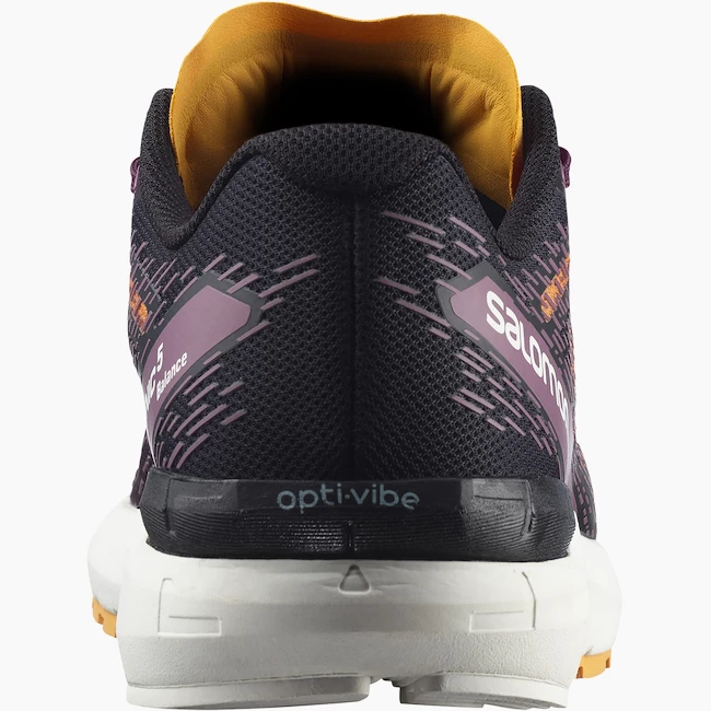 Damskie buty do biegania Salomon  Sonic 5 Balance Grape Wine/Black