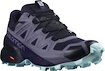 Damskie buty do biegania Salomon Speedcross 5 GTX Nisk