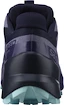 Damskie buty do biegania Salomon Speedcross 5 GTX Nisk