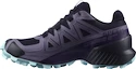 Damskie buty do biegania Salomon Speedcross 5 GTX Nisk