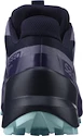 Damskie buty do biegania Salomon Speedcross 5 GTX Nisk