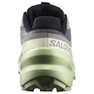 Damskie buty do biegania Salomon Speedcross 6 Castlerock/Vanilla Ice/Smoke Green