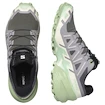 Damskie buty do biegania Salomon Speedcross 6 Castlerock/Vanilla Ice/Smoke Green