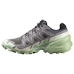 Damskie buty do biegania Salomon Speedcross 6 Castlerock/Vanilla Ice/Smoke Green