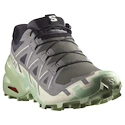 Damskie buty do biegania Salomon Speedcross 6 Castlerock/Vanilla Ice/Smoke Green