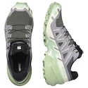 Damskie buty do biegania Salomon Speedcross 6 Castlerock/Vanilla Ice/Smoke Green
