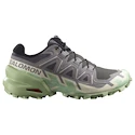 Damskie buty do biegania Salomon Speedcross 6 Castlerock/Vanilla Ice/Smoke Green
