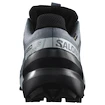 Damskie buty do biegania Salomon Speedcross 6 Gore-Tex Flint Stone/Black/Heather