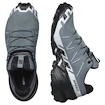 Damskie buty do biegania Salomon Speedcross 6 Gore-Tex Flint Stone/Black/Heather