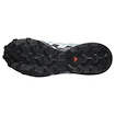 Damskie buty do biegania Salomon Speedcross 6 Gore-Tex Flint Stone/Black/Heather