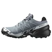 Damskie buty do biegania Salomon Speedcross 6 Gore-Tex Flint Stone/Black/Heather