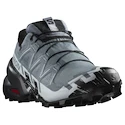 Damskie buty do biegania Salomon Speedcross 6 Gore-Tex Flint Stone/Black/Heather
