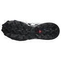 Damskie buty do biegania Salomon Speedcross 6 Gore-Tex Flint Stone/Black/Heather