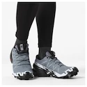 Damskie buty do biegania Salomon Speedcross 6 Gore-Tex Flint Stone/Black/Heather