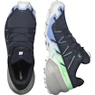 Damskie buty do biegania Salomon Speedcross 6 Gtx Carbon / Provence / White