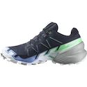 Damskie buty do biegania Salomon Speedcross 6 Gtx Carbon / Provence / White