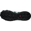 Damskie buty do biegania Salomon Speedcross Speedcross 6 GTX W Aquifer