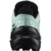Damskie buty do biegania Salomon Speedcross Speedcross 6 GTX W Aquifer