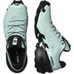Damskie buty do biegania Salomon Speedcross Speedcross 6 GTX W Aquifer