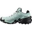 Damskie buty do biegania Salomon Speedcross Speedcross 6 GTX W Aquifer