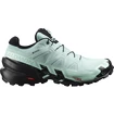 Damskie buty do biegania Salomon Speedcross Speedcross 6 GTX W Aquifer