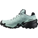 Damskie buty do biegania Salomon Speedcross Speedcross 6 GTX W Aquifer