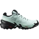 Damskie buty do biegania Salomon Speedcross Speedcross 6 GTX W Aquifer
