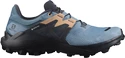 Damskie buty do biegania Salomon  Wildcross 2 GTX Blue Stone