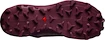 Damskie buty do biegania Salomon  Wildcross