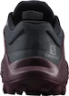 Damskie buty do biegania Salomon  Wildcross