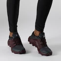 Damskie buty do biegania Salomon  Wildcross