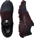 Damskie buty do biegania Salomon  Wildcross
