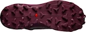 Damskie buty do biegania Salomon  Wildcross