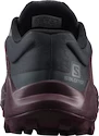 Damskie buty do biegania Salomon  Wildcross