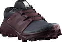 Damskie buty do biegania Salomon  Wildcross