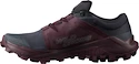Damskie buty do biegania Salomon  Wildcross
