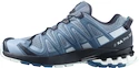 Damskie buty do biegania Salomon XA Pro 3D V8 Ashley Blue