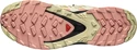 Damskie buty do biegania Salomon XA Pro 3D V8 Frozen Dew